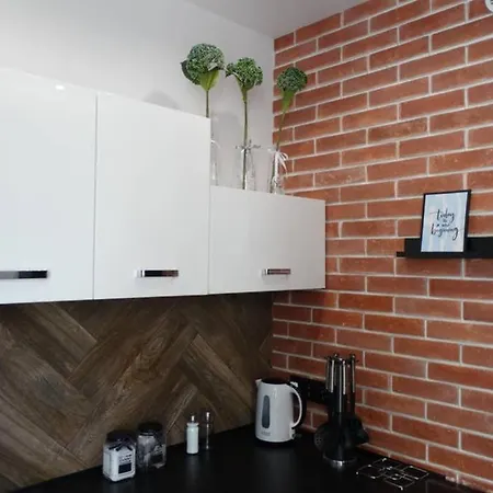 Lucy - Scisle Centrum Czestochowy شقة