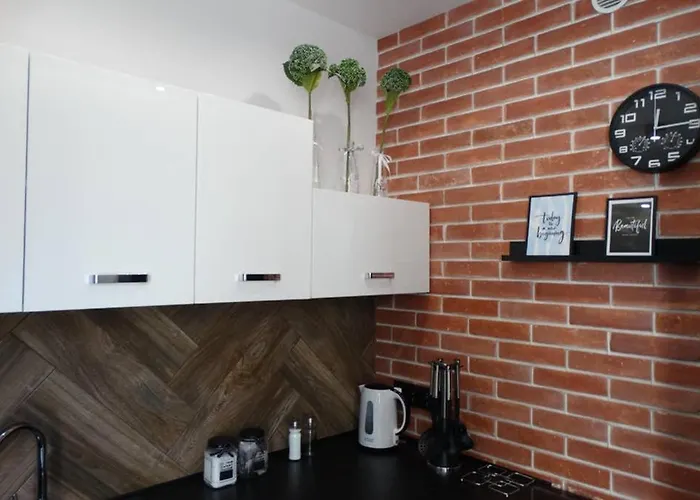 Lucy - Scisle Centrum Czestochowy דירה